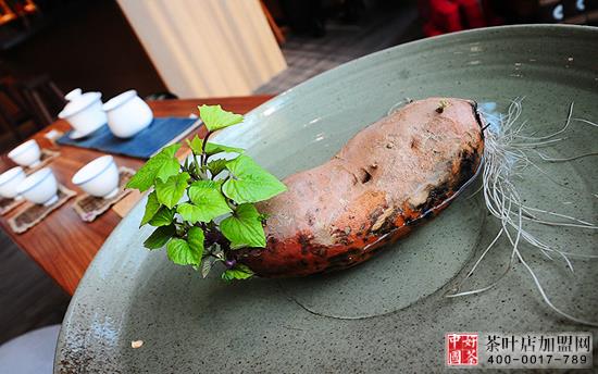 茶饰摆件--都市茶室的绿色精灵--茶室绿色植物