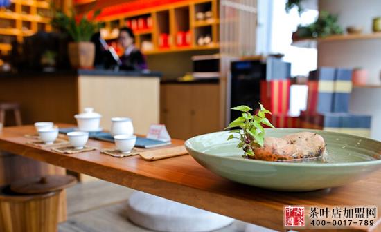 茶饰摆件--都市茶室的绿色精灵--茶艺绿植