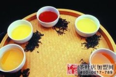 中国六大茶系相关功效