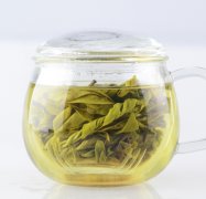 喝茶对身体健康的好处