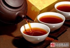 神奇灵草普洱茶的药用价值与保健功效