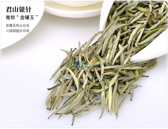 十大茗茶－十大名茶－黄茶－君山银针