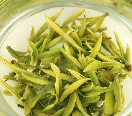 黄茶的起源和由来－黄茶的制作工艺－黄茶的制作方法
