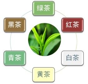 六大茶类－六大茶类的作用与功效－茶类保健