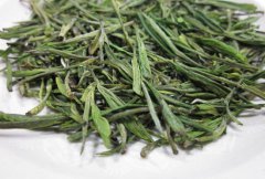 安吉白茶的十大养生功效