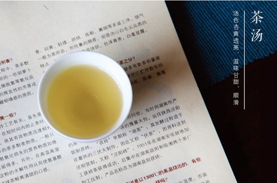 福鼎原产地白茶-白茶品牌收藏系列-白茶茶汤颜色图片
