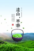 三千茶农茶叶价格表-三千茶农加盟费用