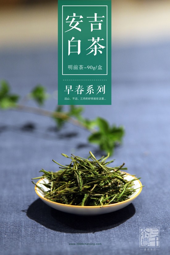 最新春茶上市－安吉白茶春茶系列－安吉白茶春茶价格