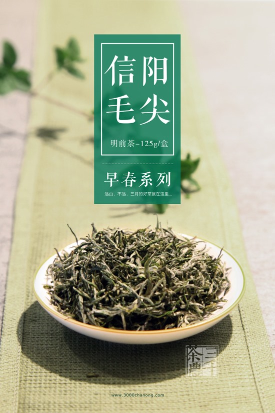 最新春茶上市－信阳毛尖春茶系列－信阳毛尖春茶价格