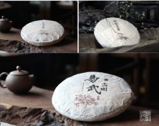 开连锁茶叶店需要办什么手续