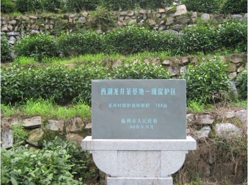 西湖龙井茶的产地