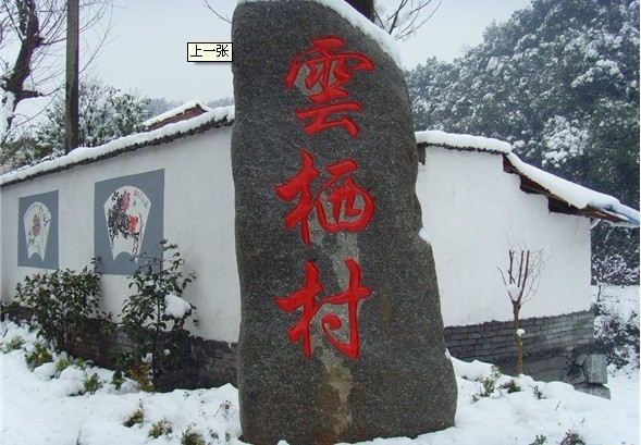 西湖龙井茶的产地