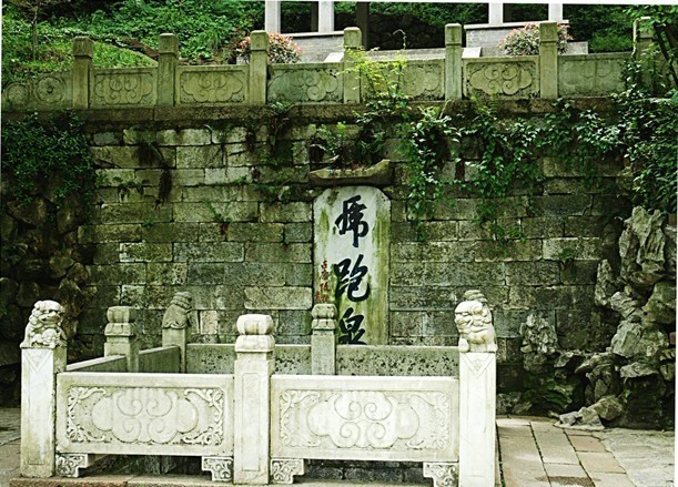 西湖龙井茶的产地