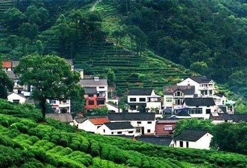 西湖龙井茶的产地