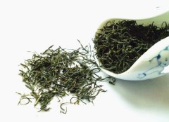 信阳毛尖属于什么茶叶？