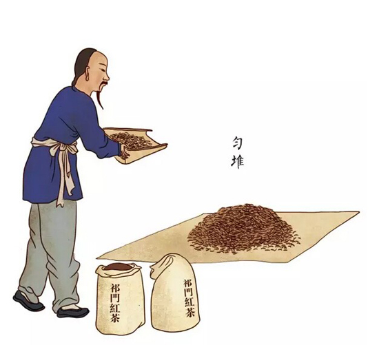 祁门红茶制作工艺--官堆方法