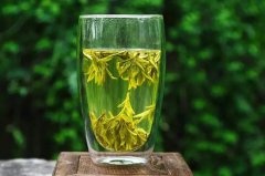 养肝护肝喝点什么茶排毒最好？