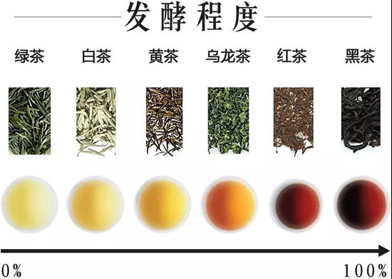 六大茶类的发酵工艺与区别