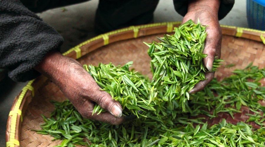 哪里的茶叶批发市场最好？