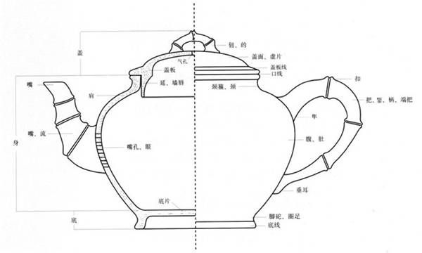 紫砂壶的结构图