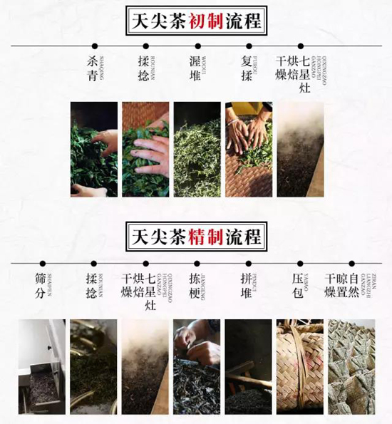 安华黑茶天尖黑茶传统工艺